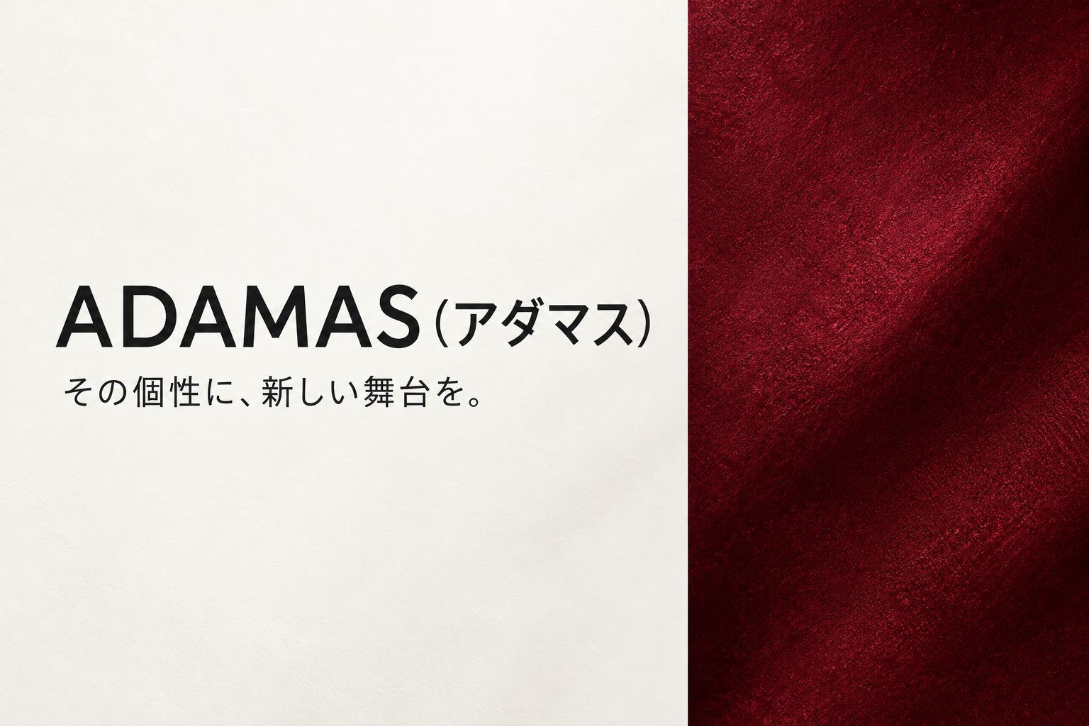 ADAMAS(アダマス)